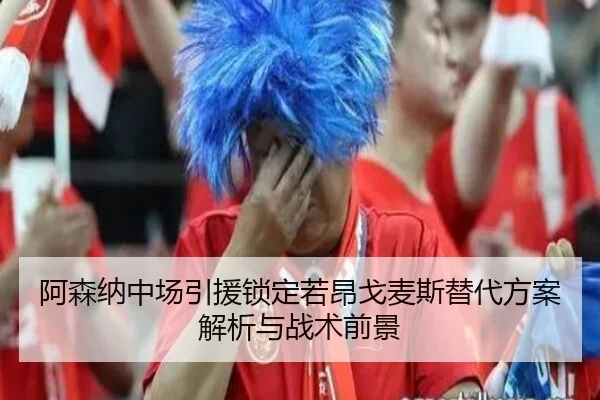阿森纳中场引援锁定若昂戈麦斯替代方案解析与战术前景 | yaxin